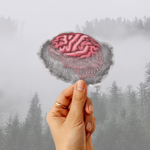 A hand holds a die-cut sticker featuring a pink brain with gray smoke and the text 'The brain fog is thick today' against a misty pine forest background.