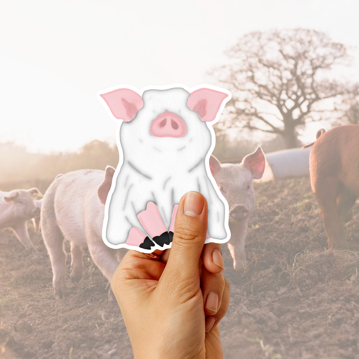 A hand holds a die-cut sticker of a cute cartoon pig with pink ears and snout against a blurred background of real pigs in a farm field at sunrise.