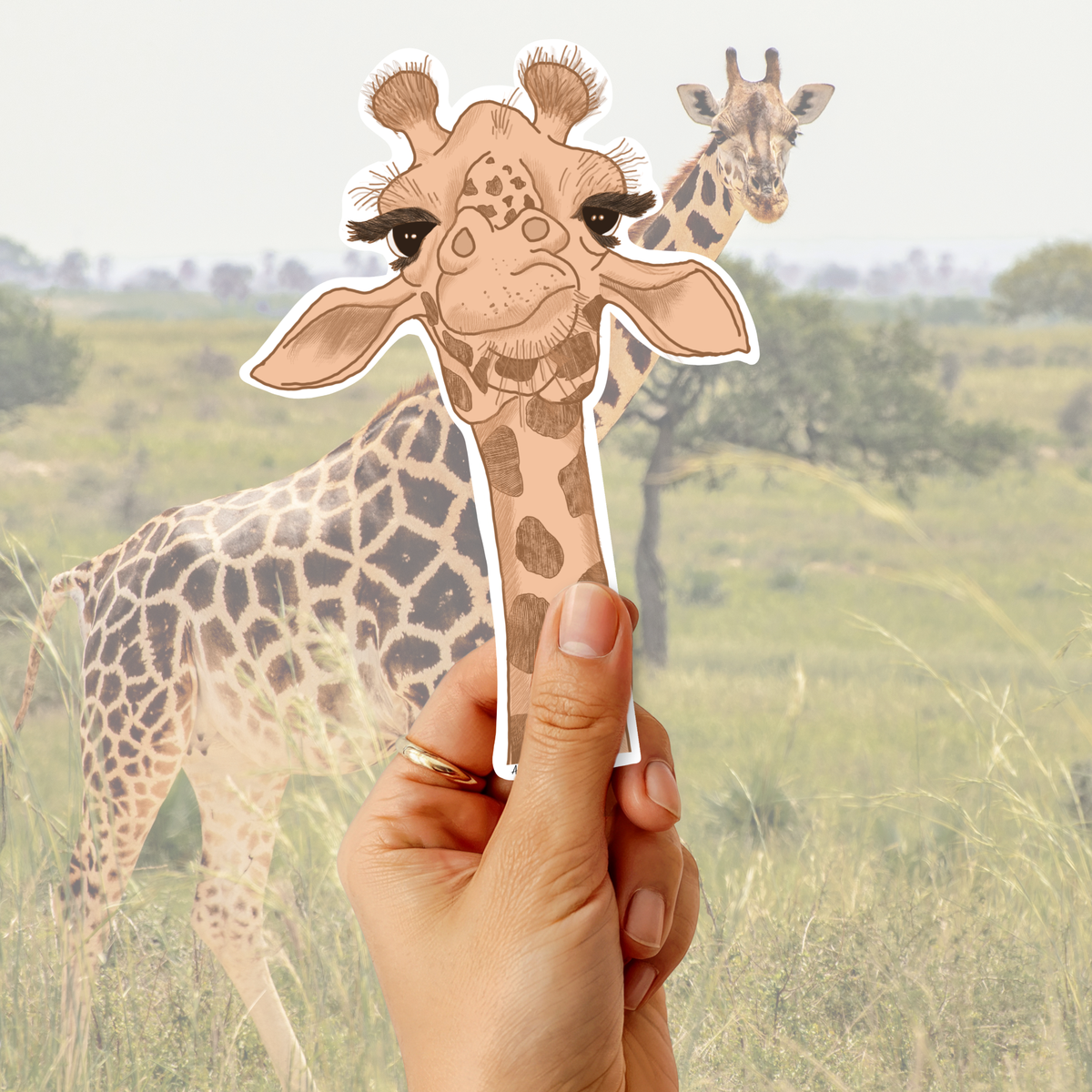 A hand holds a die-cut sticker of a cute, long-eared giraffe in front of a blurred background photo of a real giraffe in a savanna.